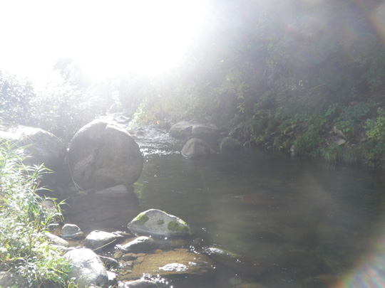 IMGP0004.JPG