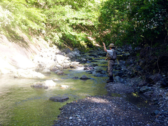 20110601.jpg