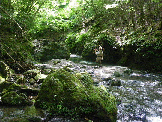 20110602.jpg
