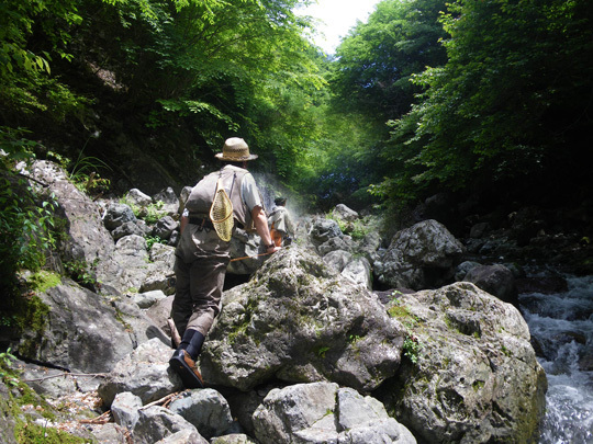 20110603.jpg