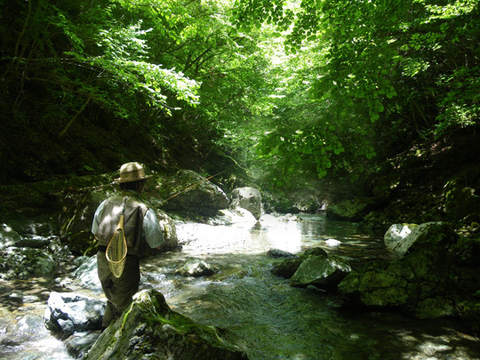 20110604.jpg