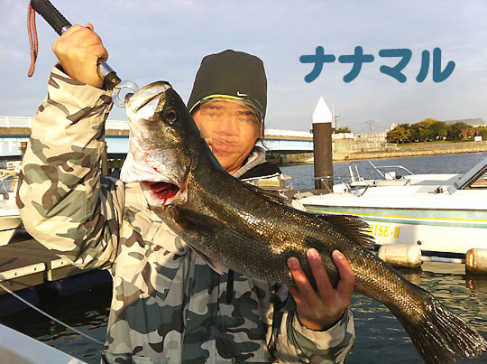 シーバス70.jpg