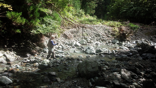 IMG_20130929_103209.jpg