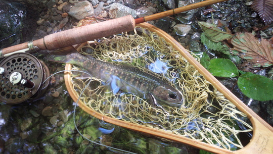 IMG_20130929_114251.jpg