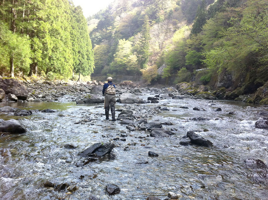 kichikubi-1.jpg